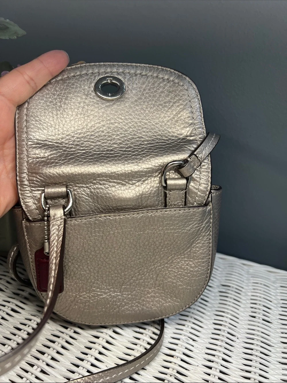 Coach Park Mini Leather Crossbody